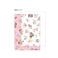 クリアファイルの使用イメージ。