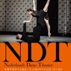 ネザーランド・ダンス・シアター、現芸術監督最後の来日公演が愛知・神奈川で