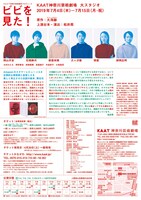 KAAT神奈川芸術劇場プロデュース「ビビを見た！」チラシ裏