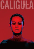 「カリギュラ」仮チラシ