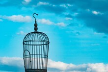 「岩澤哲野のメーテルリンクに悩む会」ビジュアル（撮影：須藤崇規）