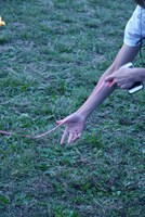 2018年の「どうぶつえんvol.9」より。（photo by 武田龍）