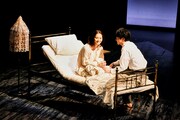 世田谷パブリックシアター「熱帯樹」より。（撮影：細野晋司）