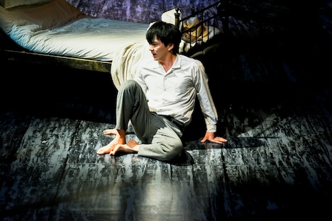 世田谷パブリックシアター「熱帯樹」より。（撮影：細野晋司）