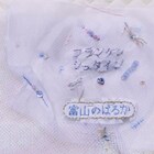 富山のはるか、メアリー・シェリーの「フランケンシュタイン」を再構築