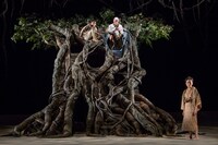 井上ひさしメモリアル10 こまつ座 第127回公演「木の上の軍隊」より。