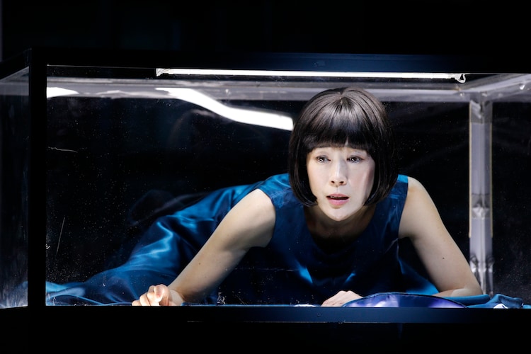 海辺のカフカ 東京公演開幕 寺島しのぶ ゾクゾクするような美しい世界を 公演レポート コメントあり ステージナタリー