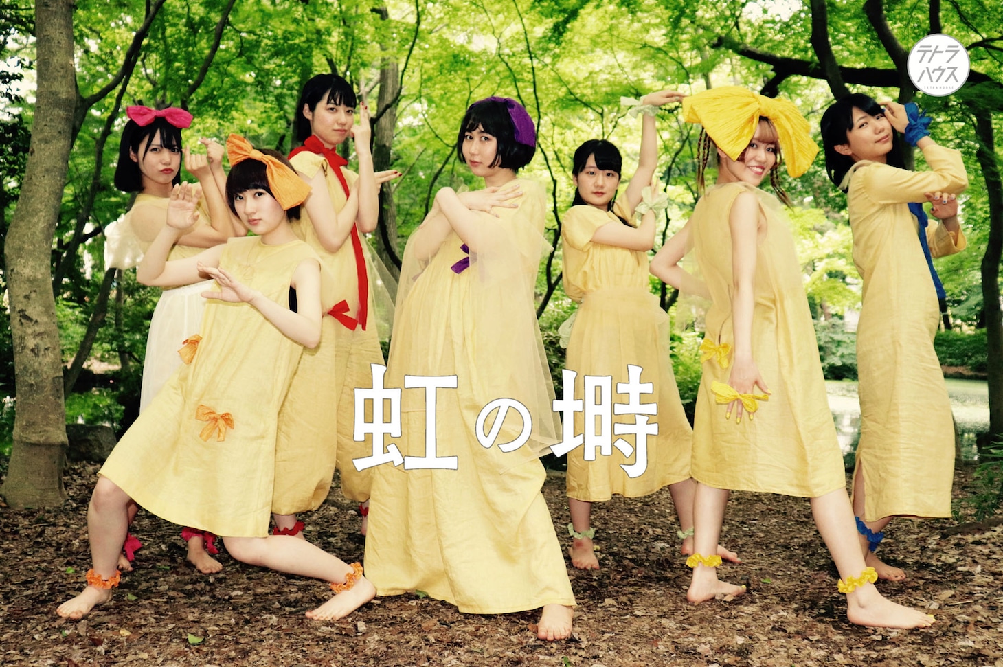 テトラハウス「虹の塒（ねぐら）」キービジュアル