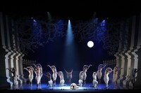 「マシュー・ボーンの『白鳥の湖～スワン・レイク～』」より。（撮影：瀬戸秀美）