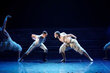 「マシュー・ボーンの『白鳥の湖～スワン・レイク～』」より。（撮影：瀬戸秀美）