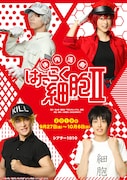 「体内活劇『はたらく細胞II』」キービジュアル