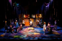 KAKUTA「とびだす童話『ねこはしる』」豊橋公演より。（撮影：伊藤華織）