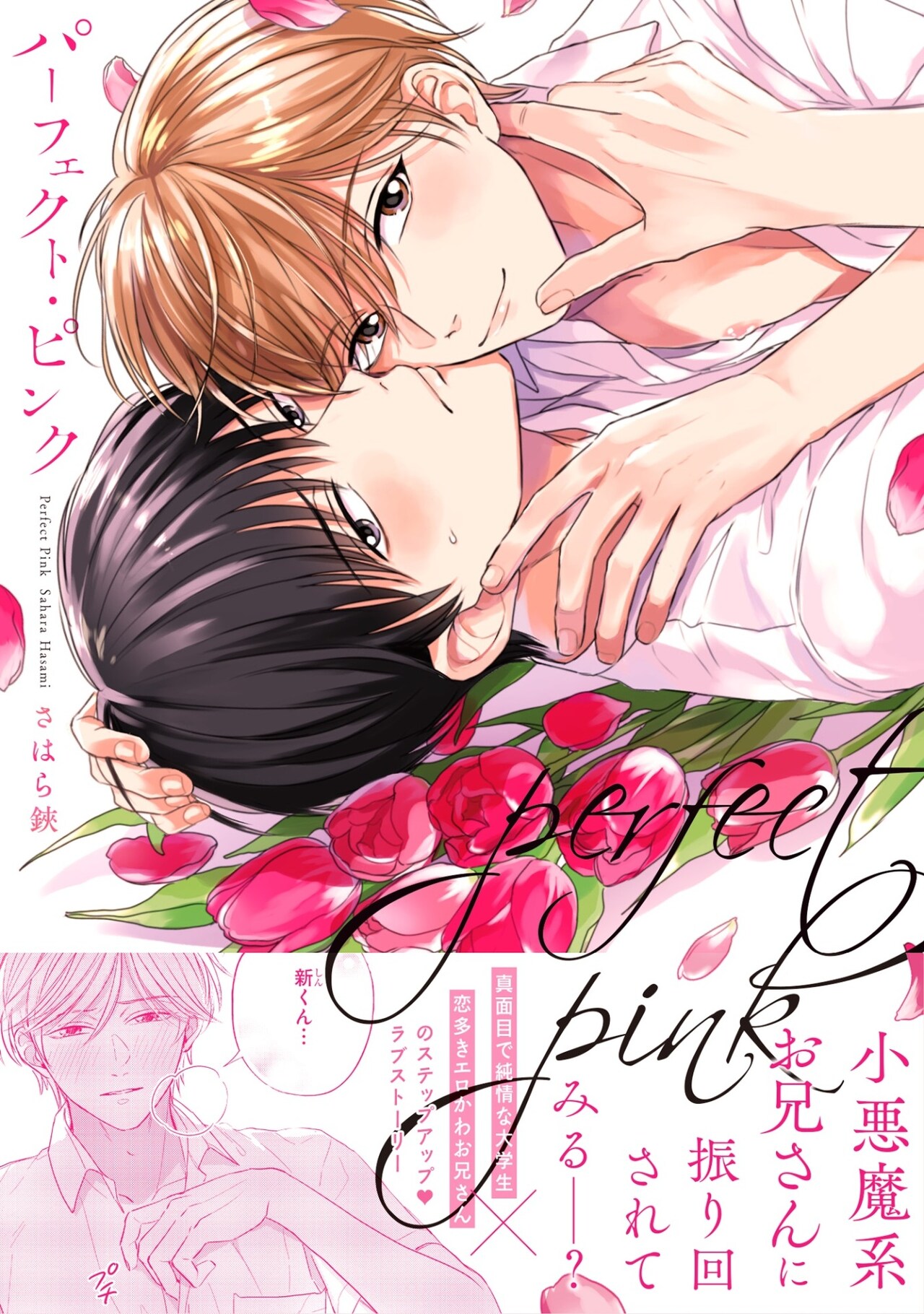 道で酔っていたあの子をお持ち帰り…純情大学生と小悪魔お兄さんのBL