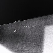 D.A.N.「Elephant」配信ジャケット