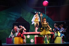 AKB48 チーム8 単独公演「Bee School」より。