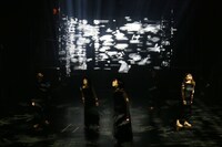 劇団新人類人猿「人や銀河や修羅や海胆は」過去公演より。