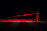 2017年に上演された「娘道成寺」より。（撮影：東直子）