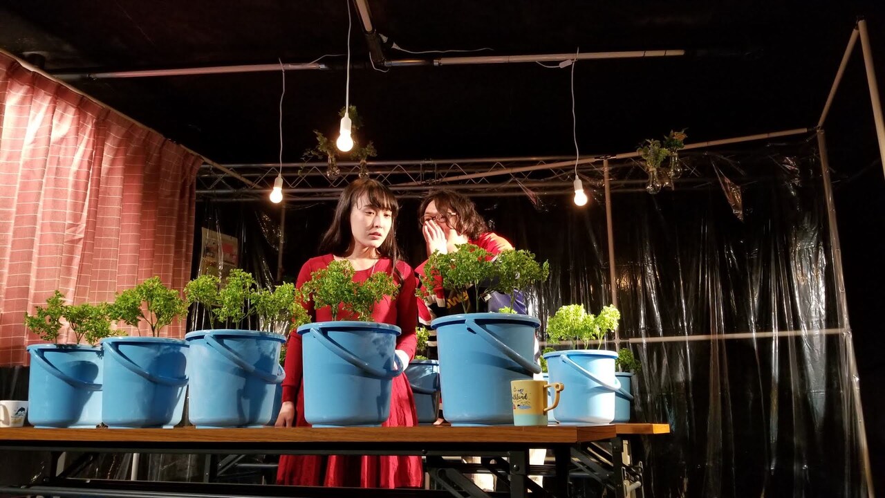 下鴨車窓のレパートリー作品「微熱ガーデン」が大阪・愛媛で上演