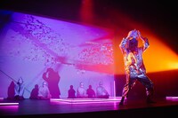 香料SPICE「ニュー・ジャングル」より。（撮影：金子愛帆）