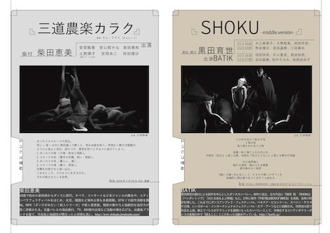 「地上波＋」チラシ