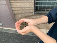 トランスフィールド from アジア「Sand(a)isles（サンド・アイル）」ビジュアル