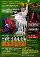Tetsuya Kumakawa K-BALLET COMPANY Winter Tour 2019「くるみ割り人形」東京公演チラシ