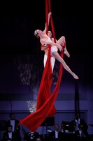 シルク・ドゥ ラ・シンフォニー過去公演より。