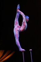 エレーナ ・ ジルノヴァ