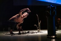 きゅうかくうしお新作公演「素晴らしい偶然をちらして」より。（撮影：菅原康太）