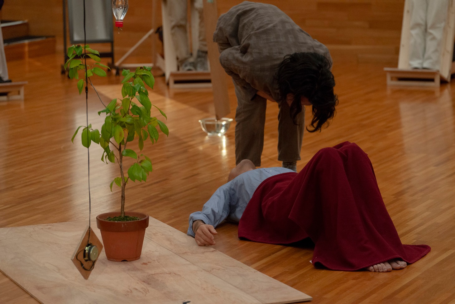 KAC Performing Arts Program 2019 / Contemporary Dance 相模友士郎「エイリアンズ」より。（撮影：守屋友樹 / 提供：京都芸術センター）