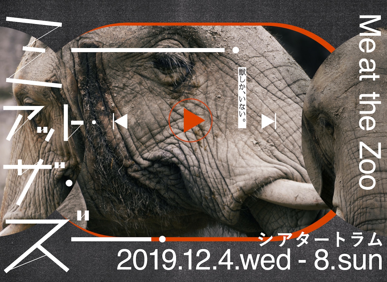 「駄々の塊です」もとにした悪い芝居「ミー・アット・ザ・ズー」トラムに登場