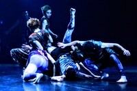 Baobab 第12回本公演「ジャングル・コンクリート・ジャングル」より。（photo by 石倉来輝）