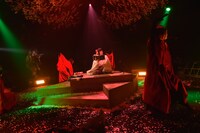 「本格文學朗読演劇 極上文學 第14弾『桜の森の満開の下』～孤独～」より。（撮影：鏡田伸幸）