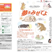 岡部尚子×内藤裕敬、ピッコロ劇団「夢をみせてよ」に小川菜摘ら