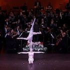 技巧が冴え渡る2時間、シルク・ドゥラ・シンフォニー来日ツアー開幕