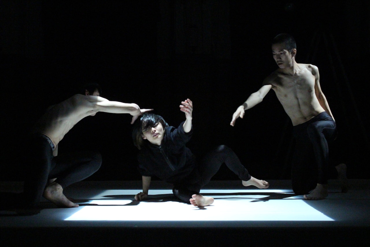 “この身体で社会をどう生きていくか”、ダンスと美術が融合する「raw」