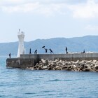 高知と関西の演劇人が協働、蛸の階「行き止まりの遁走曲」は行き止まりの町描く