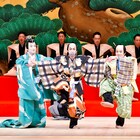 「新春浅草歌舞伎2020」より巳之助・歌昇・錦之助出演の「茶壺」が衛星劇場で
