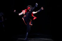 「イマーシブシアター『サクラヒメ』 ～『桜姫東文章』より～」より。