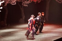 「イマーシブシアター『サクラヒメ』 ～『桜姫東文章』より～」より。