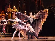 Tetsuya Kumakawa K-BALLET COMPANY Winter 2020「白鳥の湖」より。