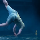 「ダンコレ2020」のラスト飾る「ダンスクロス」開幕、田村興一郎らの作品が上演