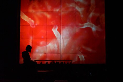 劇団た組 第20回目公演「誰にも知られず死ぬ朝」より。