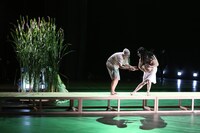 ラドゥ・スタンカ劇場「スカーレット・プリンセス」より。