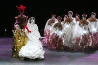 ラドゥ・スタンカ劇場「スカーレット・プリンセス」より。