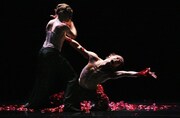 「薔薇の精」より。(c)Hans Gerritsen