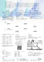 Pityman「ぜんぶのあさとよるを」チラシ裏