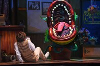ミュージカル「リトル・ショップ・オブ・ホラーズ」ゲネプロより。