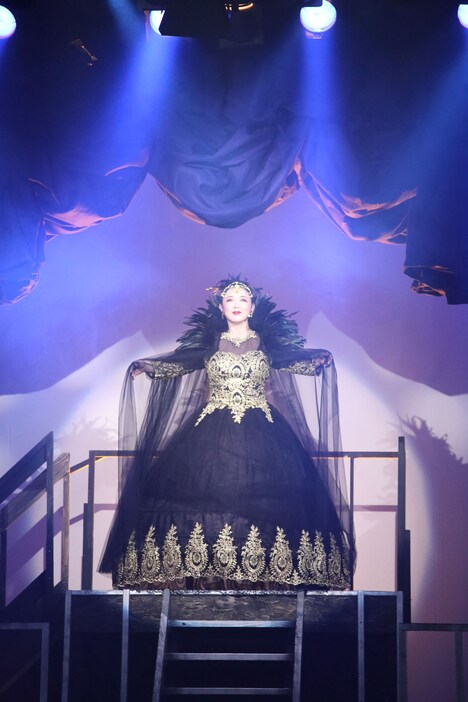 劇団とっても便利 25周年記念公演 ミュージカル「美しい人」より。（撮影：溝口理香）