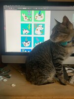 渡辺源四郎商店Presentsうさぎ庵Vol.15 留守電ひとり芝居オーディオドラマ「居酒屋ジパング～みーちゃんの行方～」より。